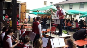 Erdbeerfest Gambach 2016 (3)